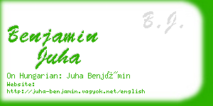 benjamin juha business card